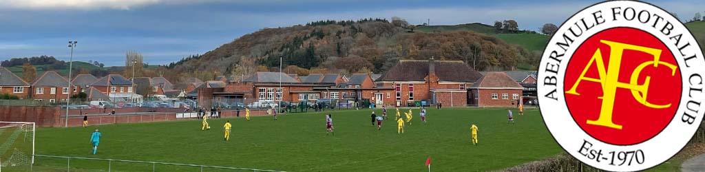 Abermule Community Field